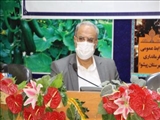 درج نظرسنجی در شبکه‌های اجتماعی تخلف انتخاباتی است/ داوطلبان در موعد قانونی تبلیغات کنند