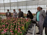 بازدید فرماندار پیشوا از ظرفیت‌های مجتمع اتکا و تاکید بر افزایش سطح همکاری‌ها