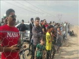 برگزاری مسابقات اسب‌دوانی کورس بهاره در شهر پیشوا